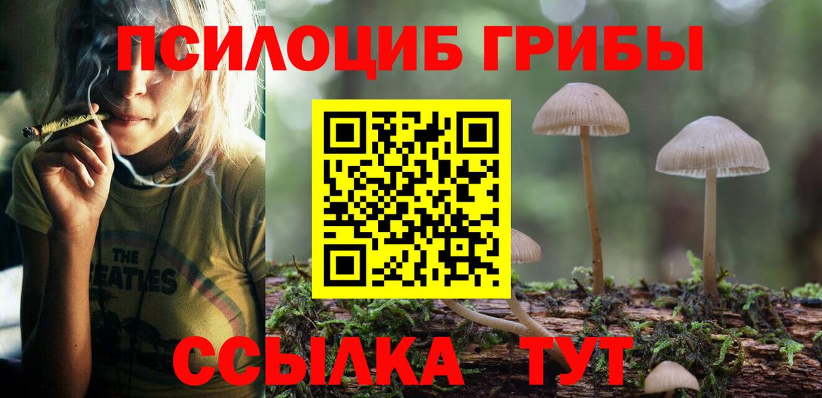 Псилоцибиновые грибы MAGIC MUSHROOMS  Вход с VPN  Мценск 